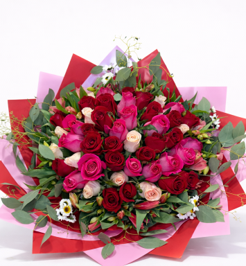 50 rosas
