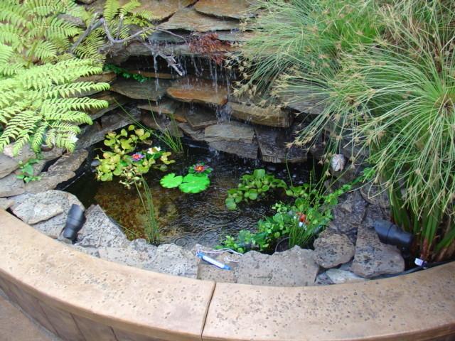 Creación y Mantenimiento de Jardines - Image 2
