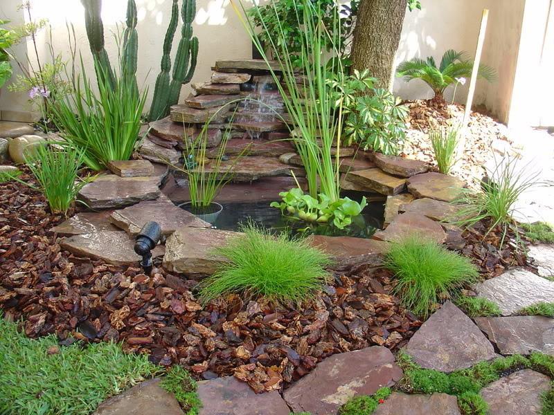 Creación y Mantenimiento de Jardines