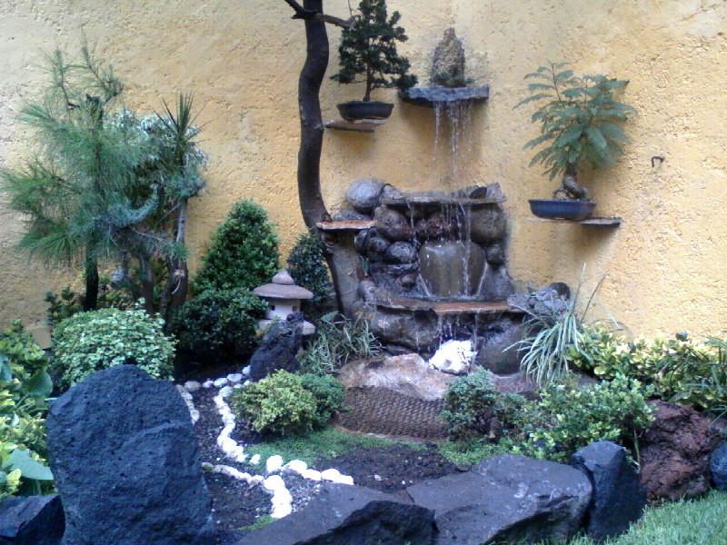 Creación y Mantenimiento de Jardines - Image 5